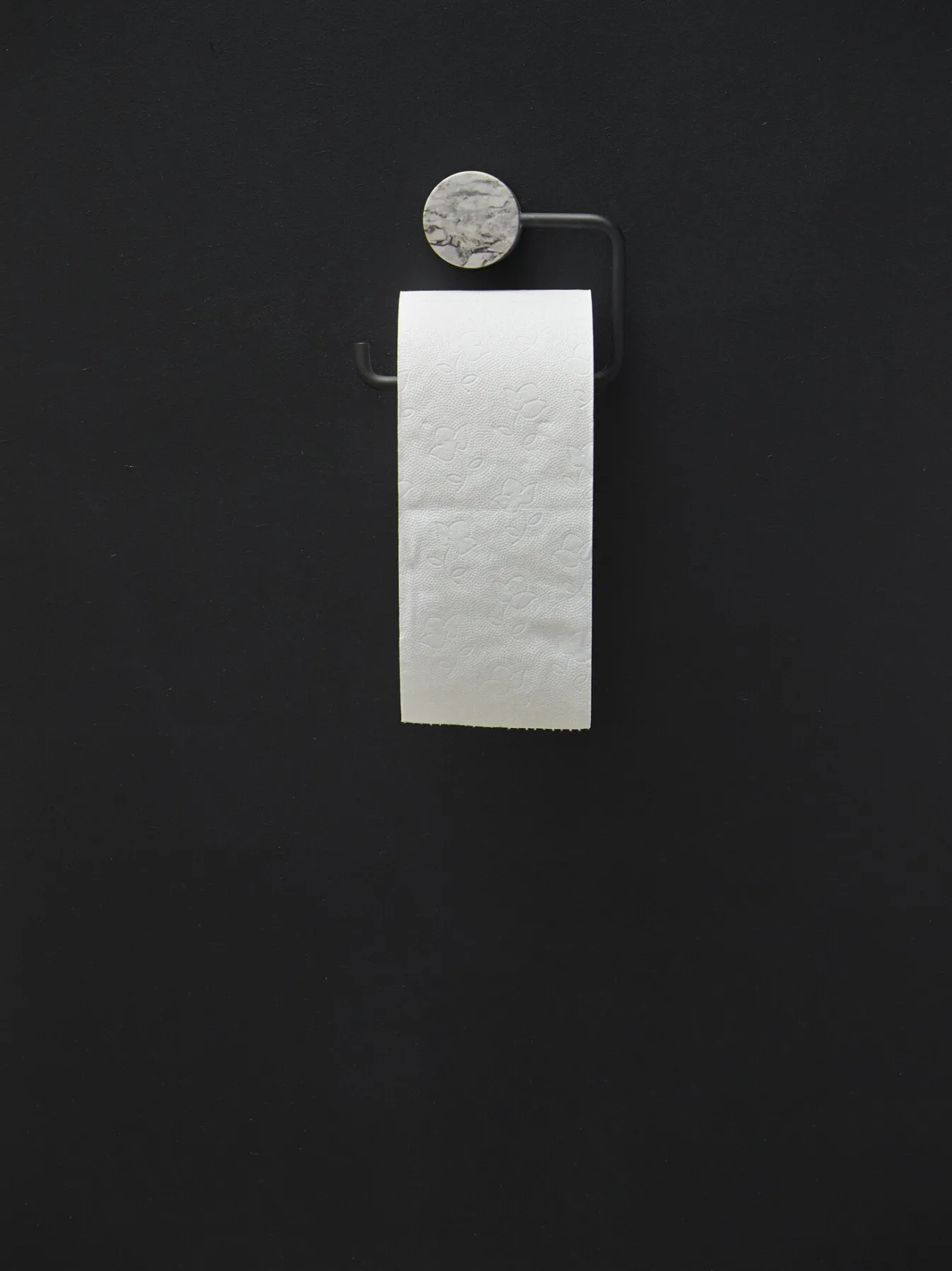 Shop Bath & Living Aquanova Toilet roll holder NERO color Alba (gray) Alba-195