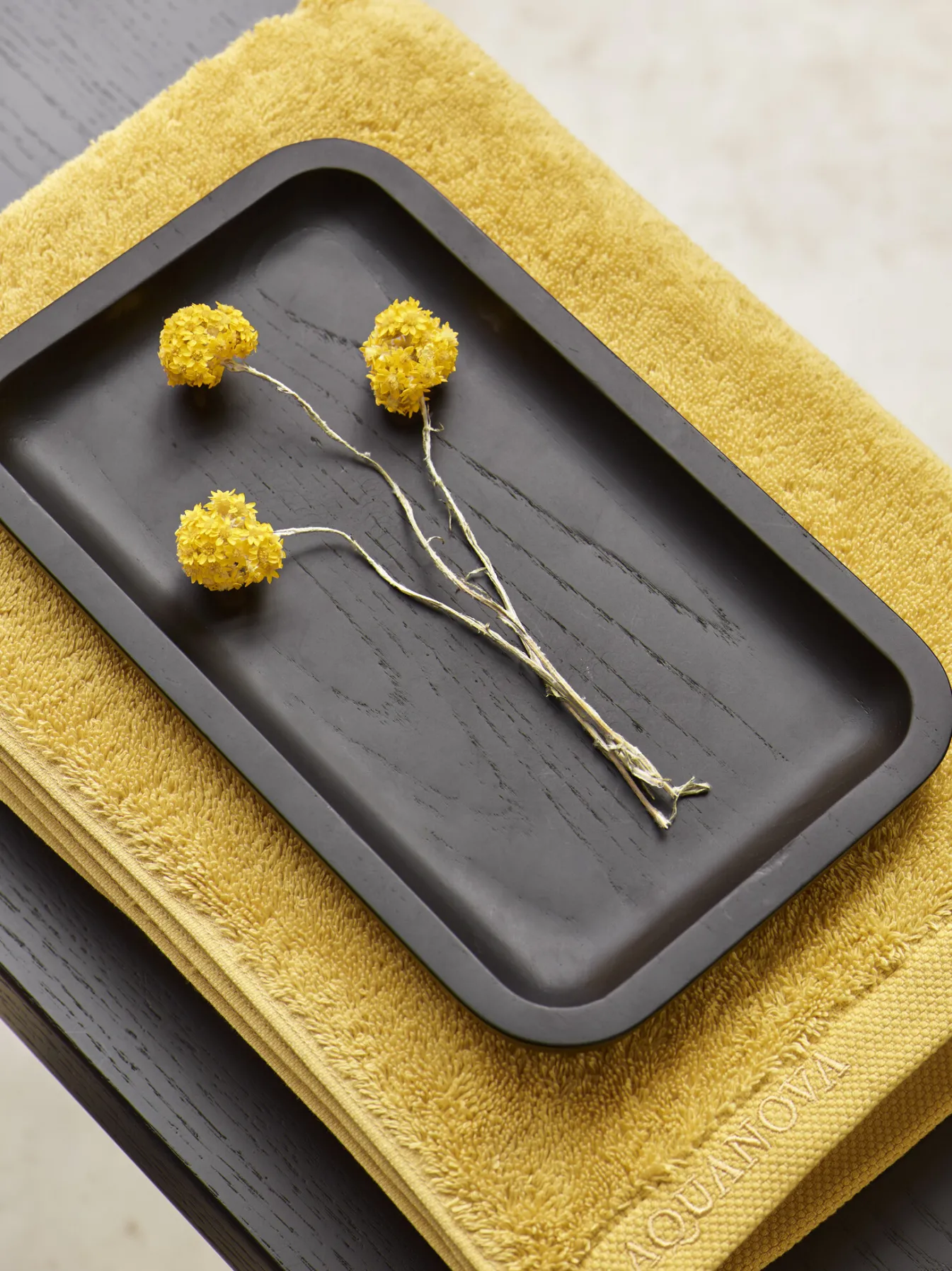 Store Bath & Living Aquanova Tray rectangle COLE color Black-09