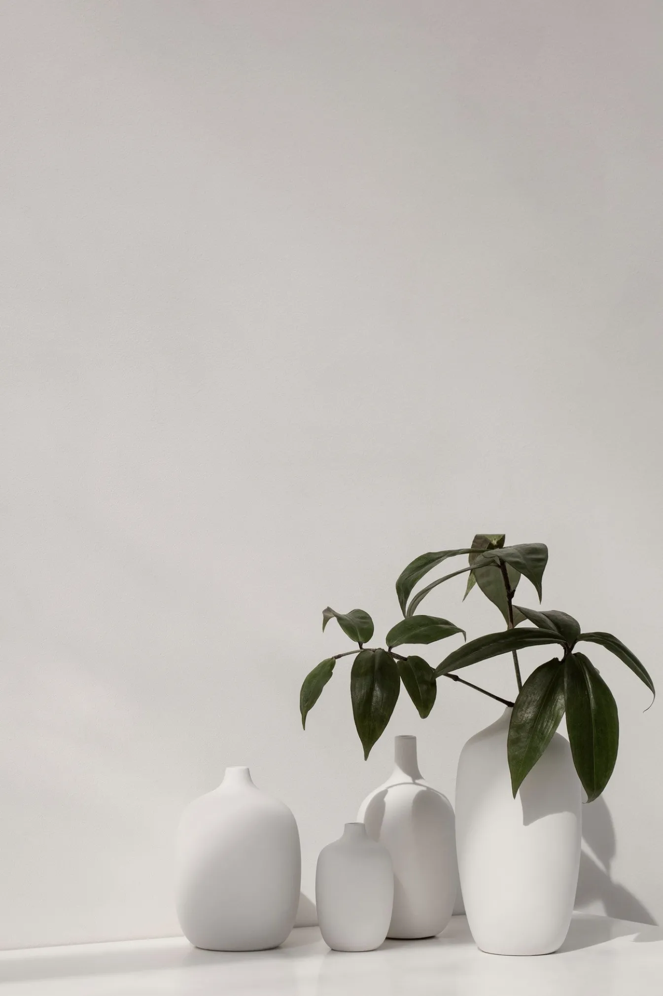 Online Bath & Living Blomus CEOLA vase 25 cm - color (66168) White