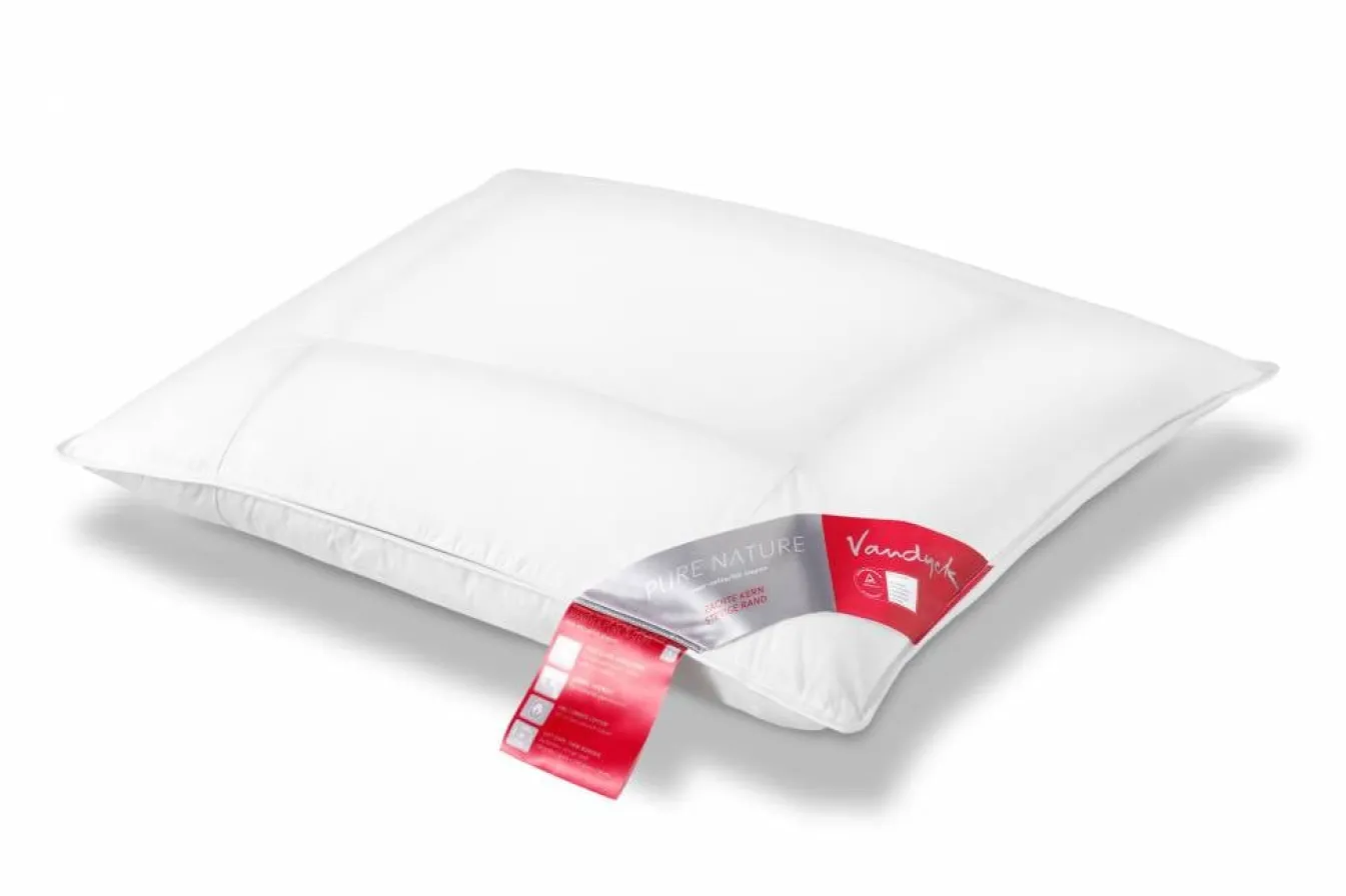 Outlet Bath & Living Vandyck Comfort pillow PURE NATURE (red label) BE101 557 007