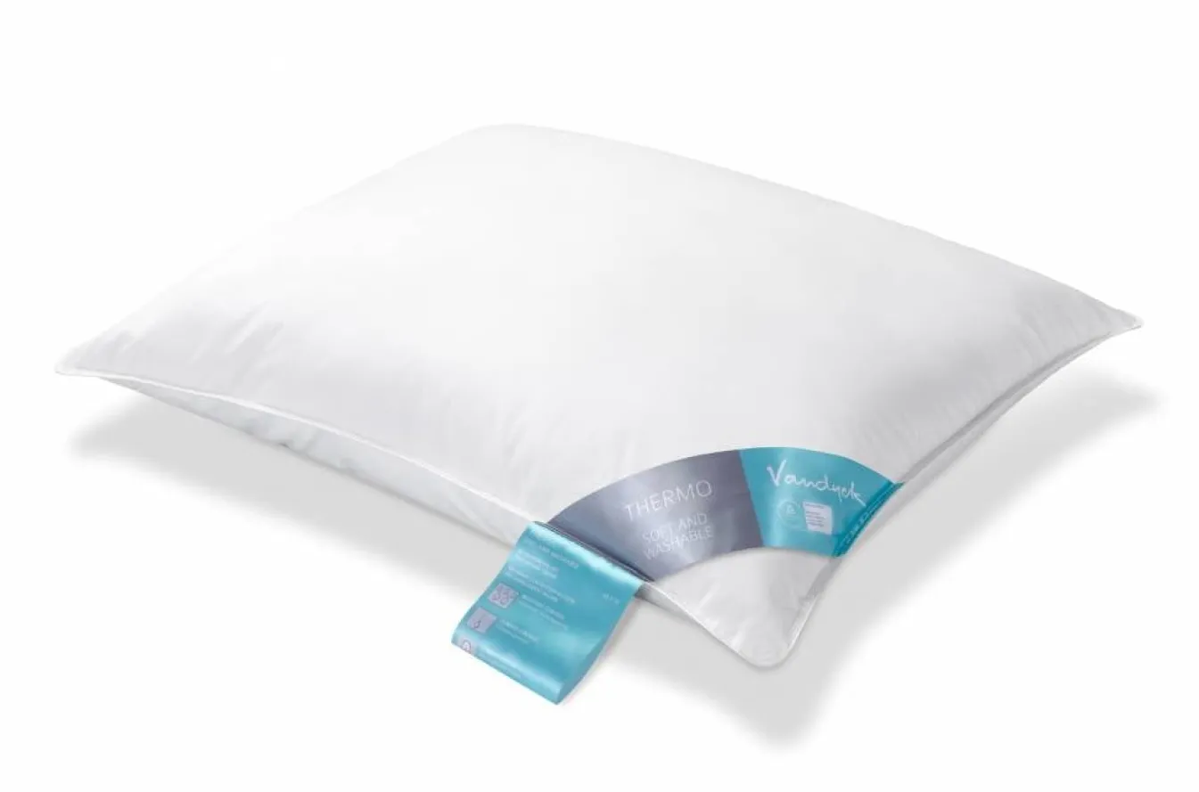 Shop Bath & Living Vandyck Pillow THERMO (washable) BE1501PLW