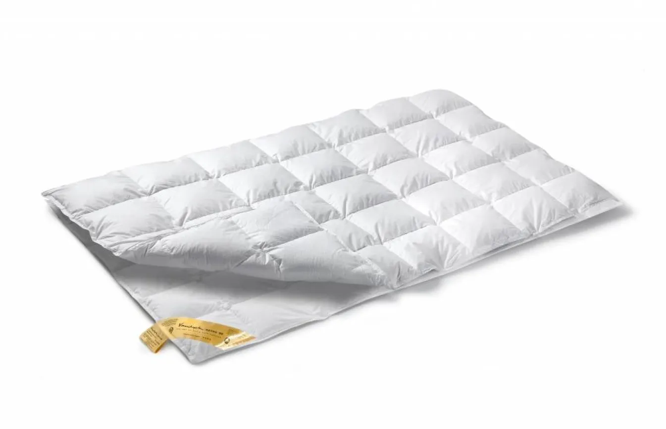 Discount Bath & Living Vandyck 4-season duvet 90% down ASTRO Duo (BE001 511)