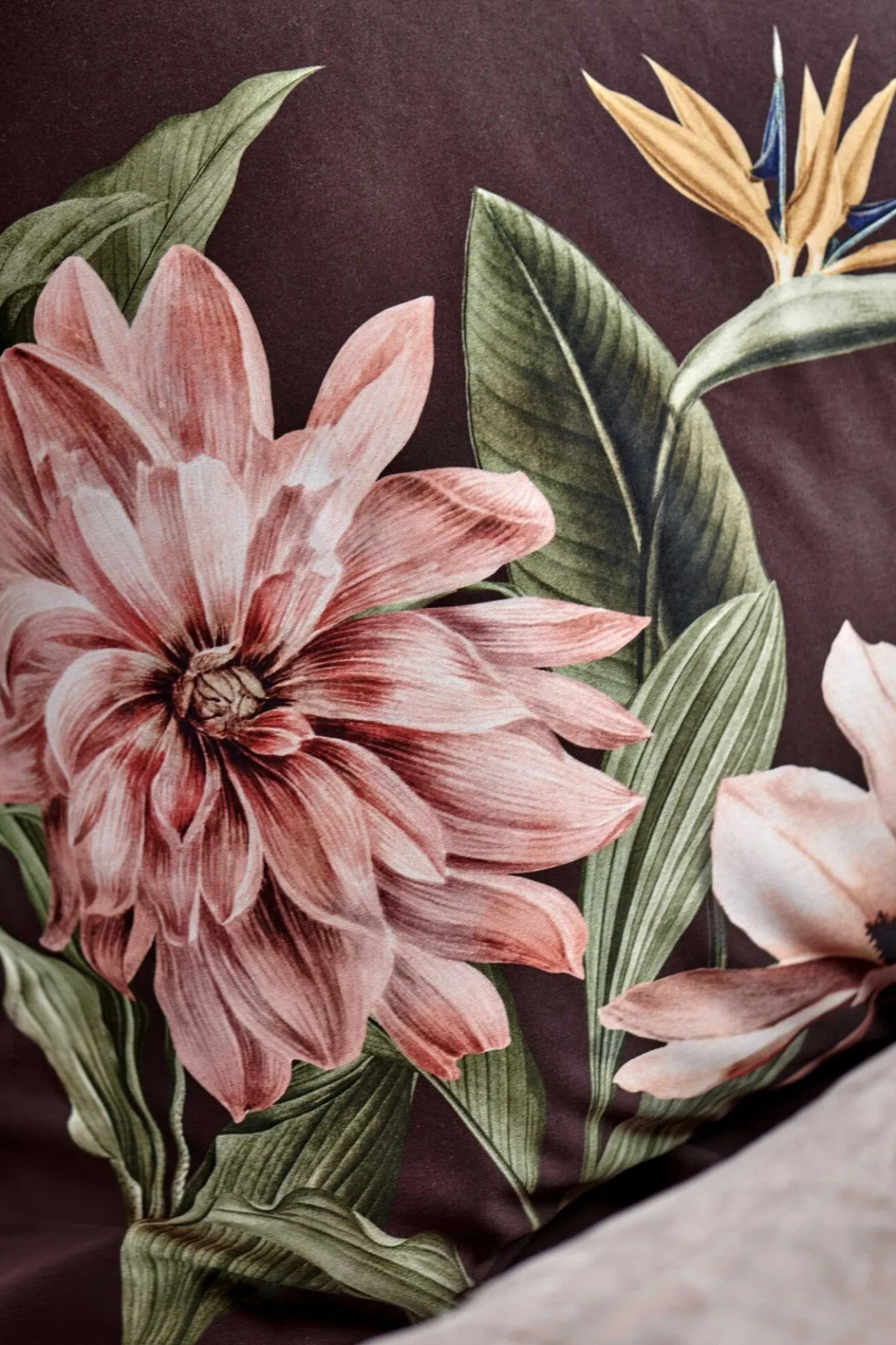Cheap Bath & Living Vandyck Vandyck PARADISE BLOOM duvet cover Dark Chocolate 140x220 cm DarkChocolate-104